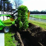 racecourse hedge Newmarket