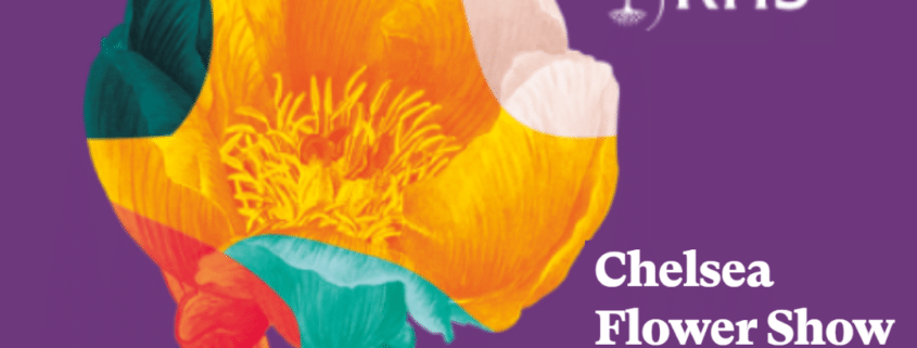 colour logo of RHS Chelsea Flower Show 2024 with single multi-coloured flower and text
