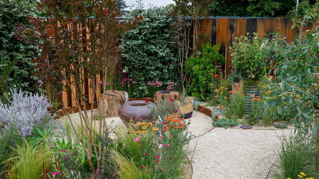 Climate Forward Garden designed by Melanie Hick features Elaeagnus evergreen screens 